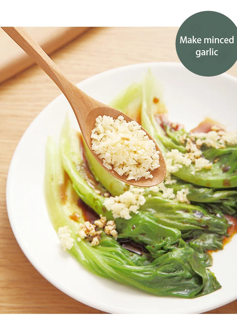 Mini Manual Vegetables Cutter Manual Garlic Press
