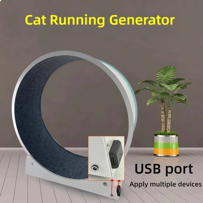 Cat, small Dog, running generator, permanent magnet generator, USB charging