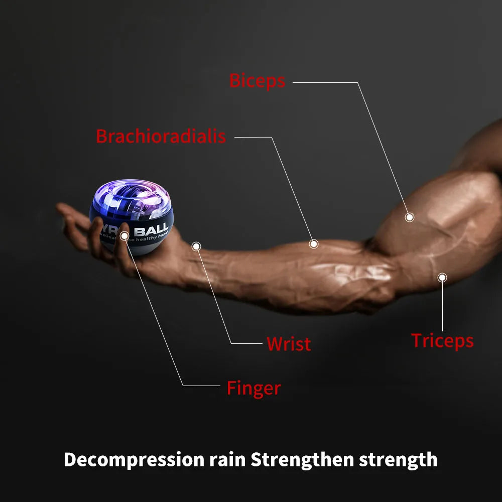 Power Trainer ball