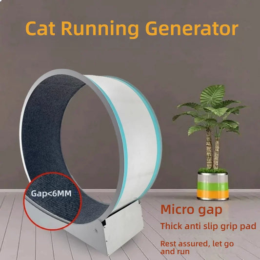 Cat, small Dog, running generator, permanent magnet generator, USB charging