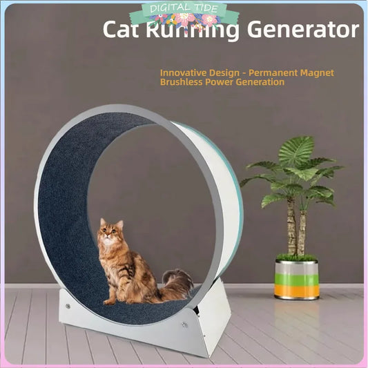 Cat, small Dog, running generator, permanent magnet generator, USB charging