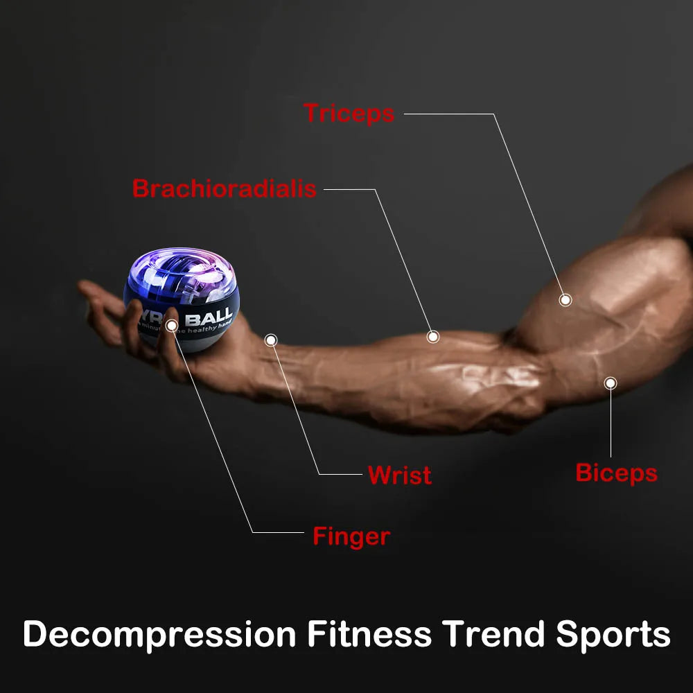 Power Trainer ball