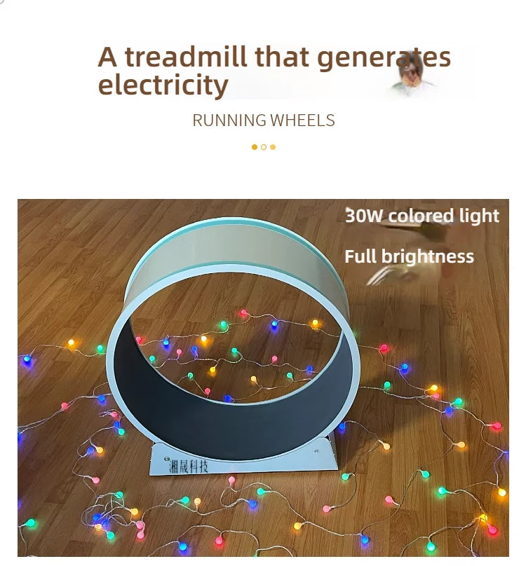 Cat, small Dog, running generator, permanent magnet generator, USB charging