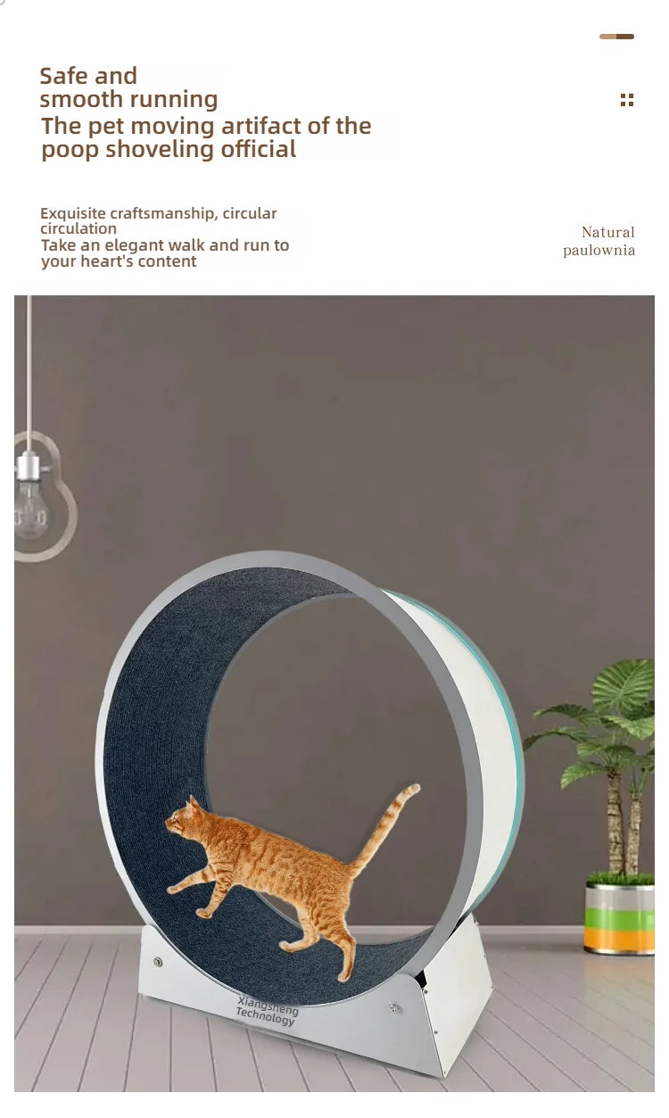 Cat, small Dog, running generator, permanent magnet generator, USB charging