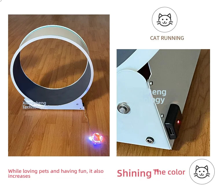 Cat, small Dog, running generator, permanent magnet generator, USB charging
