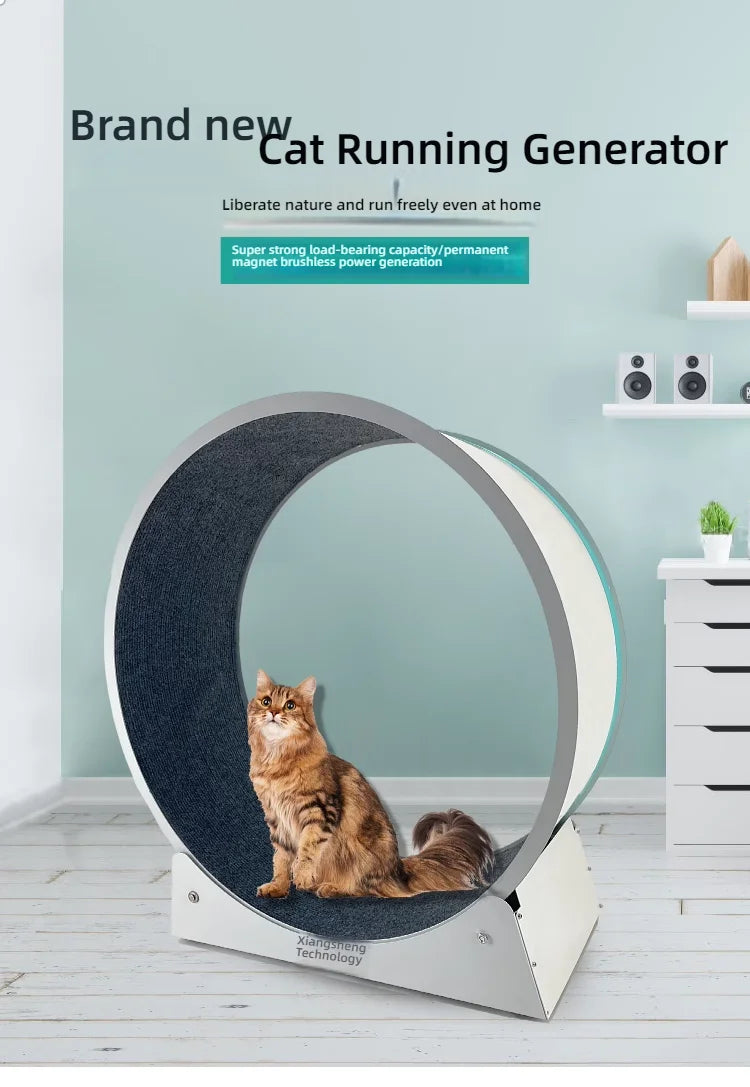 Cat, small Dog, running generator, permanent magnet generator, USB charging